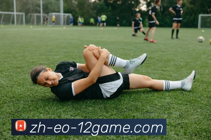 12博官网APP 封面图